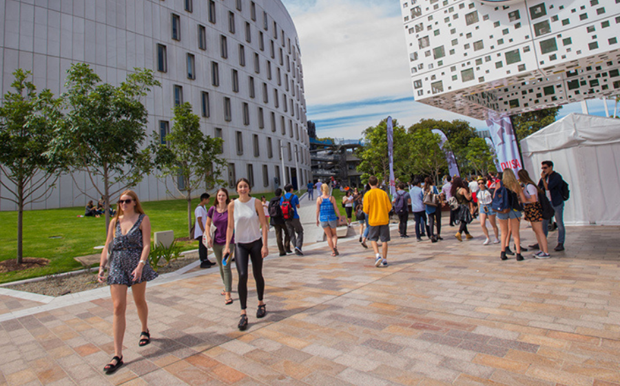 Săn học bổng đại học Deakin có khó không?