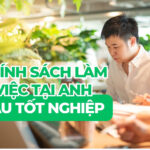Chính sách việc làm tại Anh dành cho sinh viên mới tốt nghiệp | Cập Nhật Mới Nhất 2026