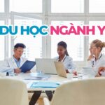 Du học ngành Y | Cập nhật chi tiết dành cho du học sinh