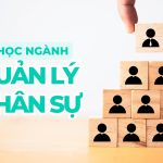 Du học ngành quản lý nhân sự | 10+ đại học đào tạo tốt nhất thế giới
