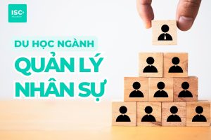 Du học ngành quản lý nhân sự | 10+ đại học đào tạo tốt nhất thế giới