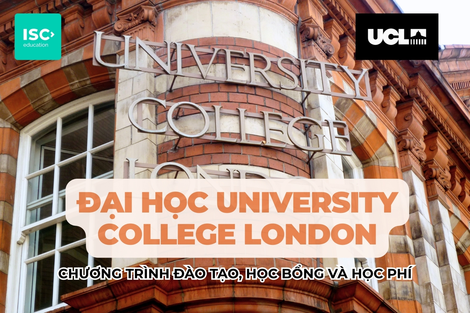 Đại học University College London | Chương trình đại học, học bổng và học phí mới nhất 2026