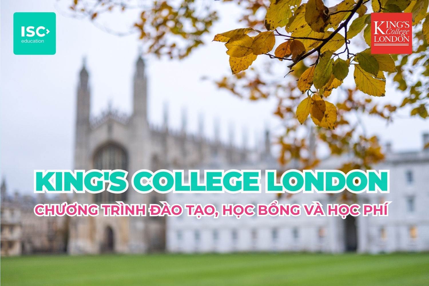 Trường King's College London | Chương trình đại học, học bổng và học phí mới nhất 2026