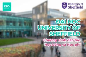 Đại học University of Sheffield | Chương trình đại học, học bổng và học phí mới nhất 2026