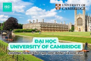 Đại học University of Cambridge | Chương trình đại học, học bổng và học phí mới nhất 2026