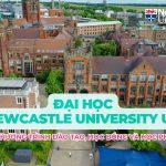 Đại học Newcastle University UK | Chương trình đại học, học bổng và học phí mới nhất 2026