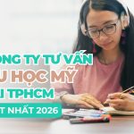 Công ty tư vấn du học Mỹ tại TPHCM | Tổng hợp các công ty uy tín 2026