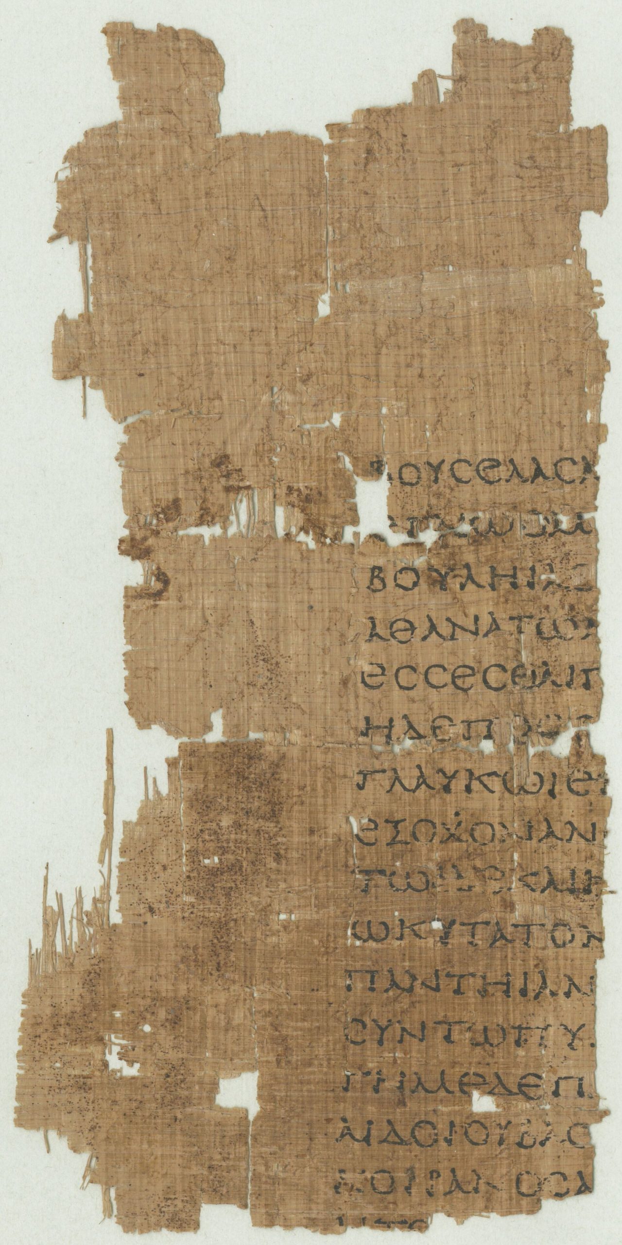 Papyrus cổ chép tác phẩm của Hesiod – tư liệu gốc mà sinh viên ngành cổ điển làm việc