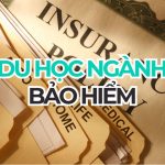 Du học ngành Bảo hiểm: Cẩm nang chi tiết cho du học sinh 2026