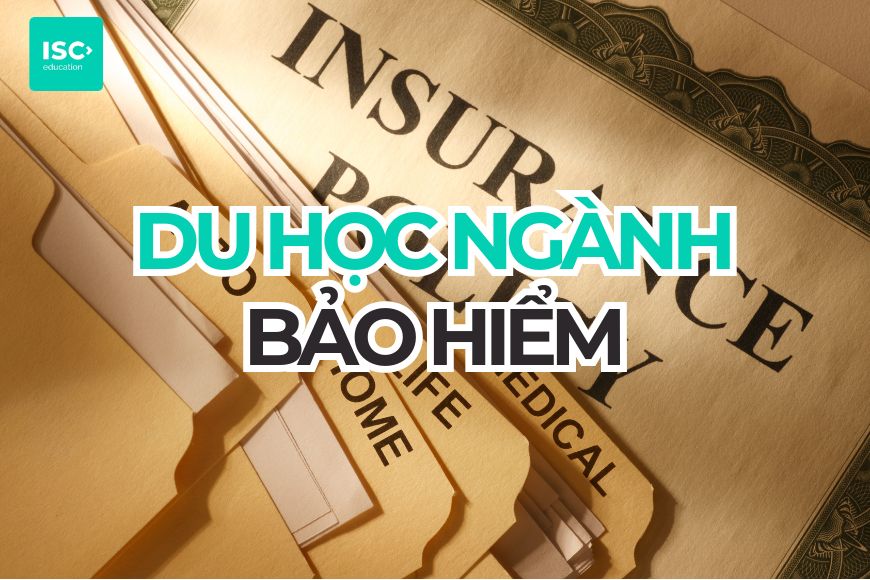 Du học ngành Bảo hiểm: Cẩm nang chi tiết cho du học sinh 2026