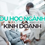 Du học ngành Kinh doanh: Cẩm nang toàn diện cho du học sinh 2026