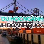 Du học ngành Kinh doanh quốc tế: Cẩm nang chọn trường và chi phí 2026
