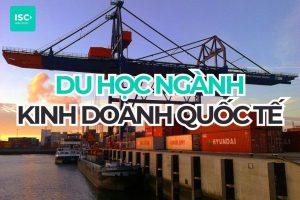 Du học ngành Kinh doanh quốc tế: Cẩm nang chọn trường và chi phí 2026
