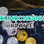 Du học ngành Kinh tế: Chọn nước, chi phí và cơ hội việc làm 2026