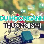 Du học ngành Thương mại 2026: chi phí, điều kiện, việc làm