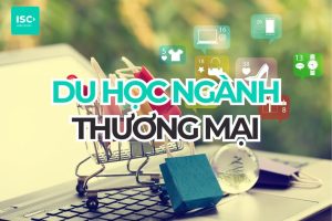 Du học ngành Thương mại 2026: chi phí, điều kiện, việc làm