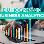 Du học ngành phân tích kinh doanh năm 2027 | Cập nhật mới nhất